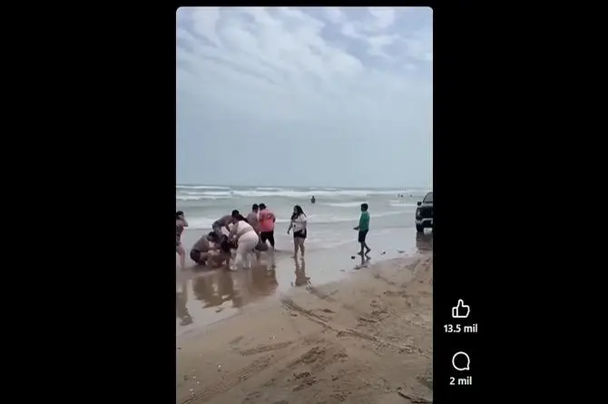 Otro pleitazo en la playa ¡Las doñitas se dieron con todo! (+video)